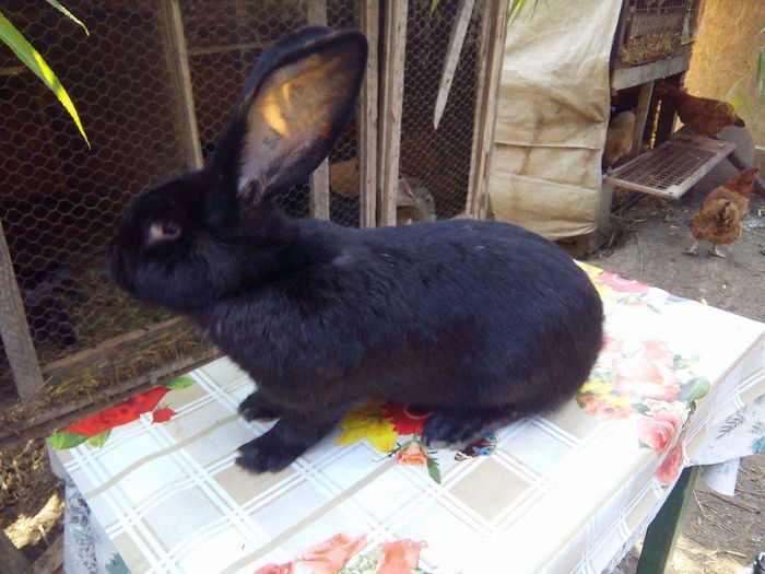 received_503656516493024