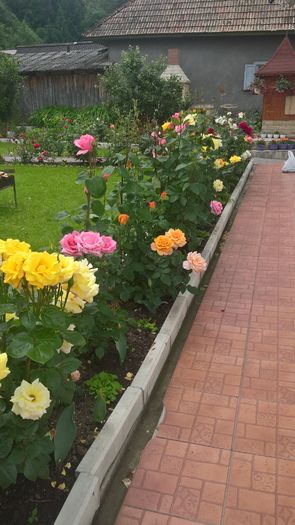 WP_20160617_12_39_11_Pro