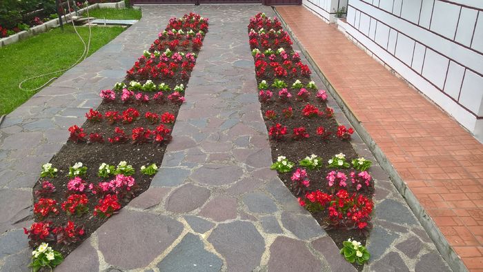 WP_20160617_12_40_44_Pro