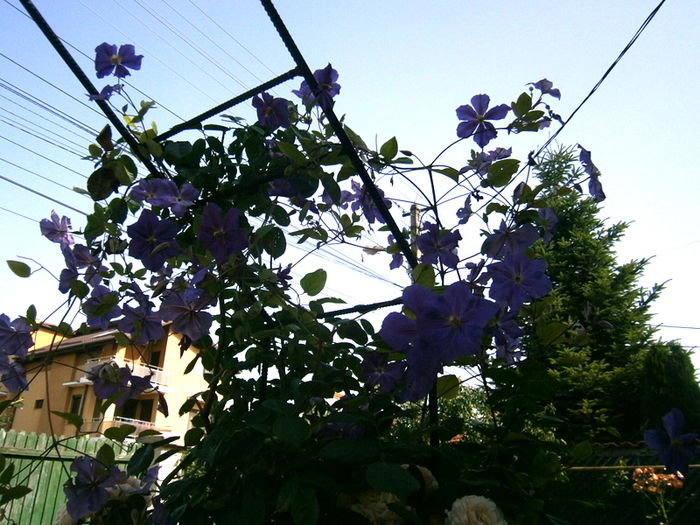  - Din iunie si iulie