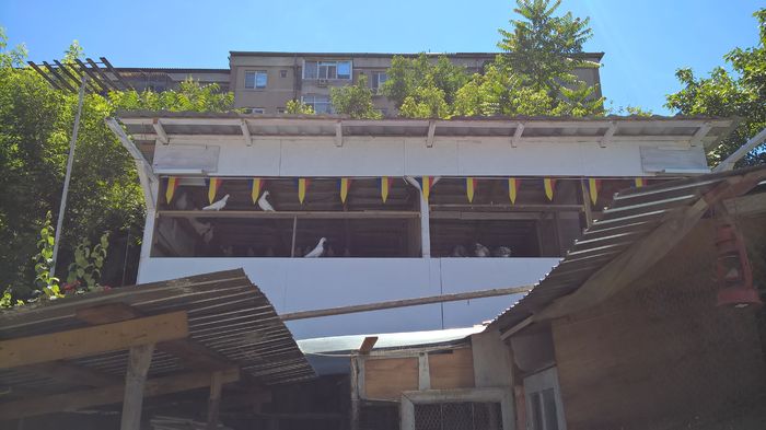 noua casa pentru voiajori albi