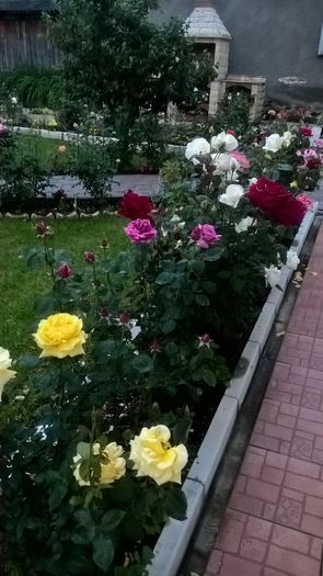 WP_20160618_21_09_17_Pro