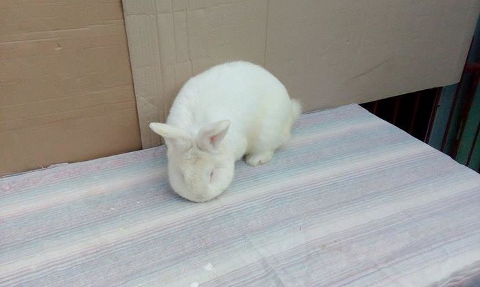 12325282_154805411577917_1801497763_n