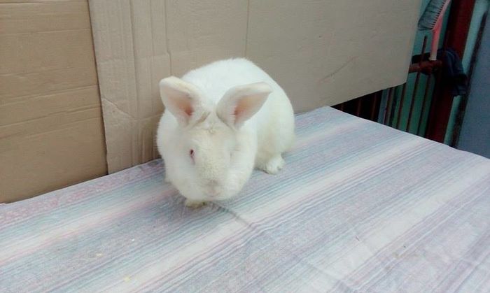 12596217_154804531578005_1472547393_n