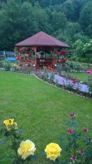 WP_20160618_21_09_25_Pro