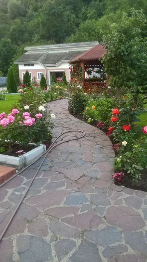 WP_20160618_21_02_46_Pro