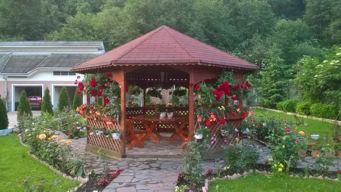 WP_20160618_21_00_50_Pro