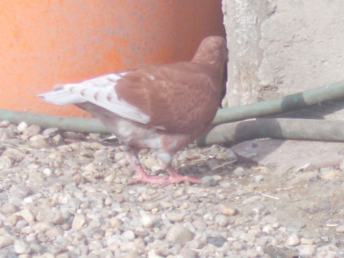 DSCN1595