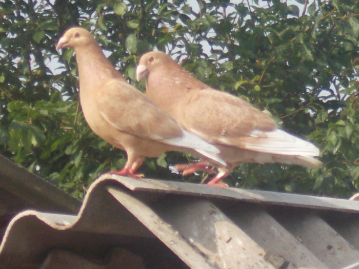 DSCN1606