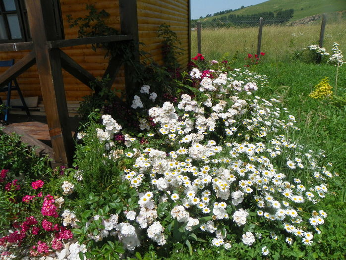 coltul preferat - Dobarland 2016 2
