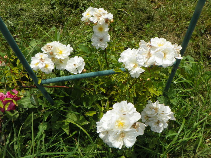 Lykkefund