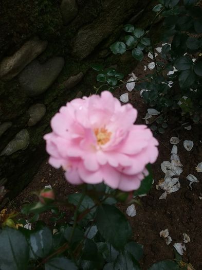 20160619_105111