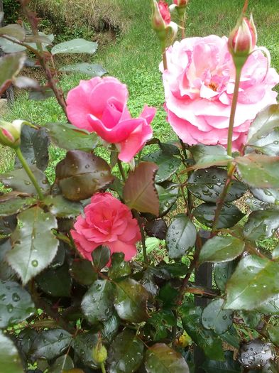 20160619_122316