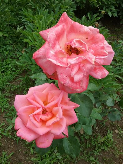 20160619_122051