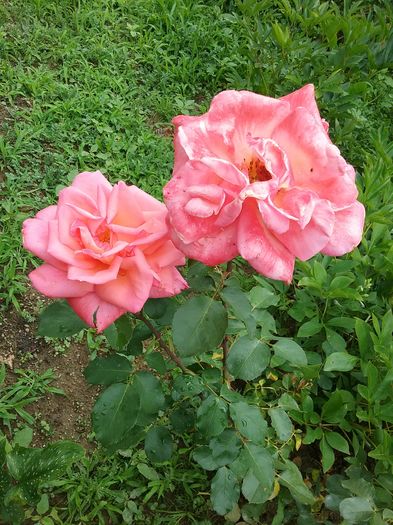 20160619_122037
