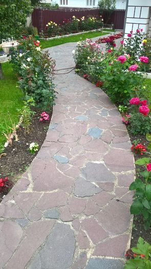 WP_20160619_18_24_24_Pro