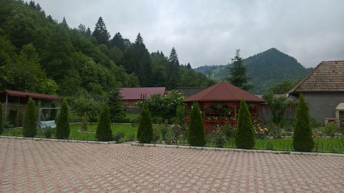 WP_20160619_18_20_57_Pro