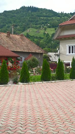 WP_20160619_18_20_04_Pro