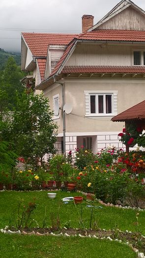 WP_20160619_18_18_19_Pro - Gradina 2016