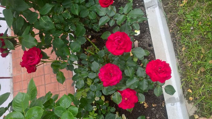 WP_20160619_18_23_03_Pro