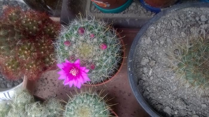 WP_20160617_14_34_59_Pro