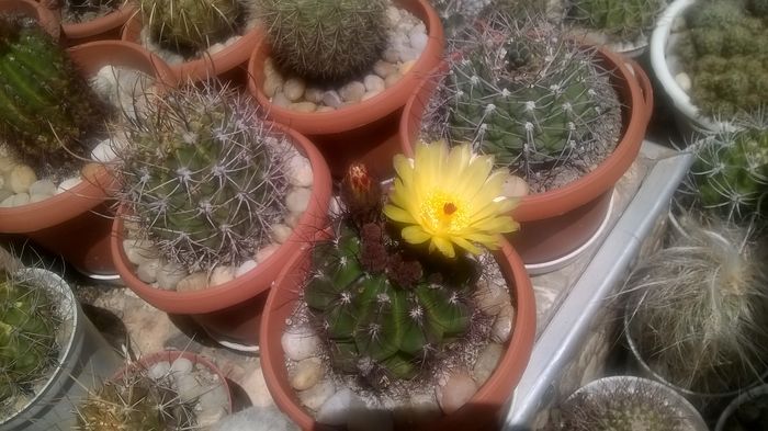 WP_20160618_13_00_45_Pro