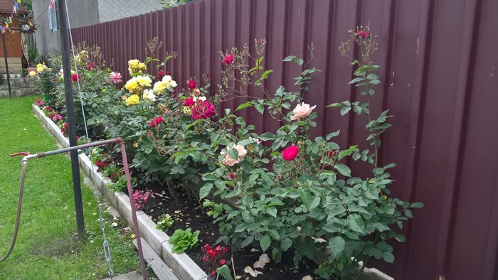 WP_20160619_18_13_48_Pro