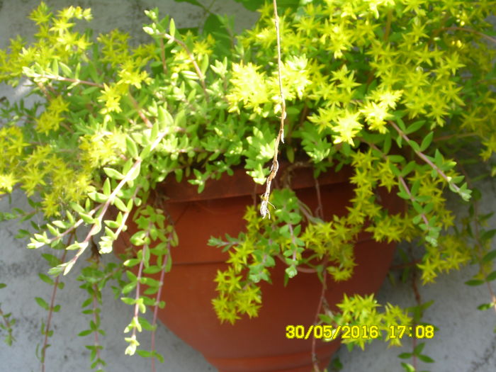 SAM_0828