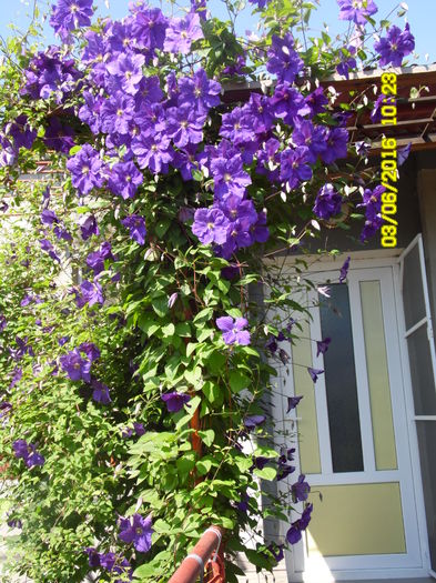 SAM_0840