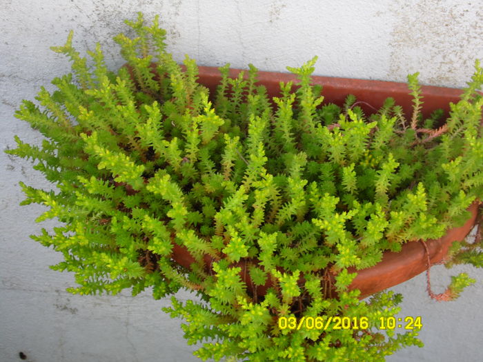 SAM_0844