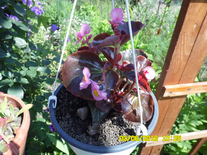 SAM_0848