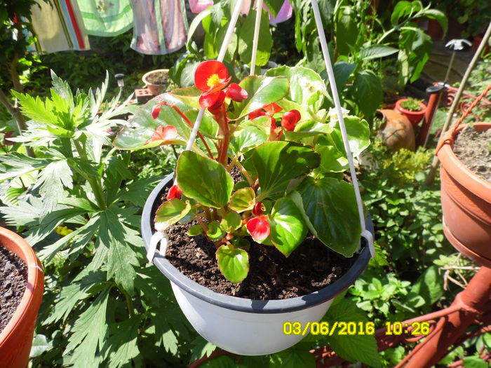 SAM_0849