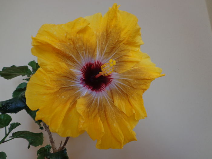 DSC04213