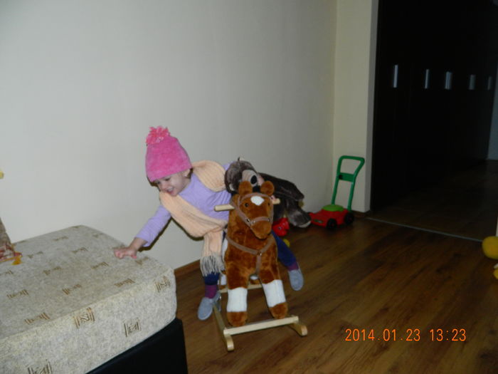 DSCN3264