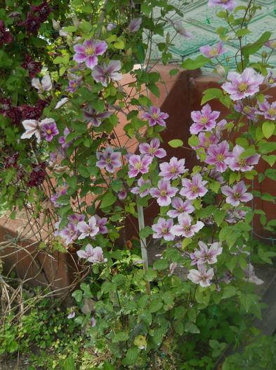 DSCN9598 - A48   2016