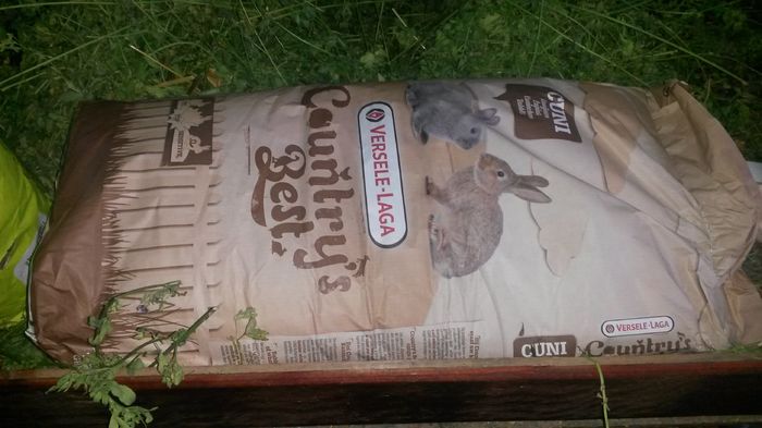 20160618_172301 - 8 HRANA IEPURASILOR SI BOXELE MELE