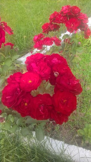 WP_20160620_16_01_53_Pro