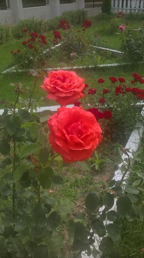 WP_20160620_16_02_36_Pro