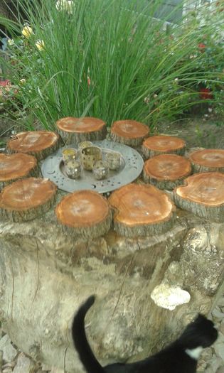 20160619_181208 - TRANDAFIRI 2016 II
