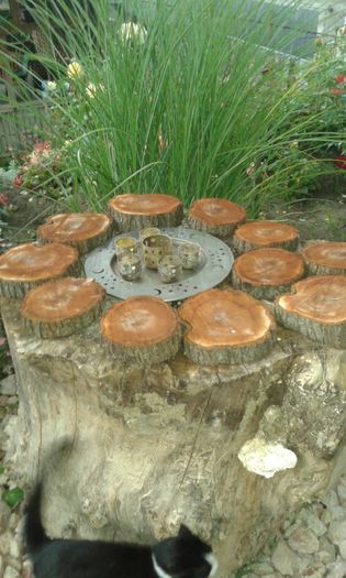 20160619_181203 - TRANDAFIRI 2016 II