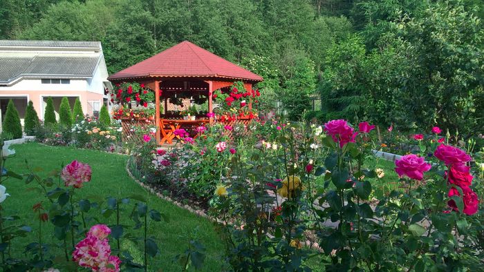 WP_20160620_19_31_42_Pro - Gradina 2016