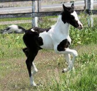 FB_IMG_1466233407095