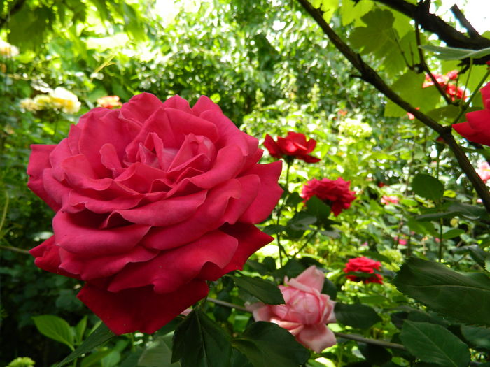 DSCN0605