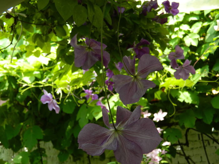 DSCN0613