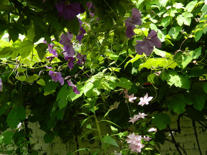 DSCN0614