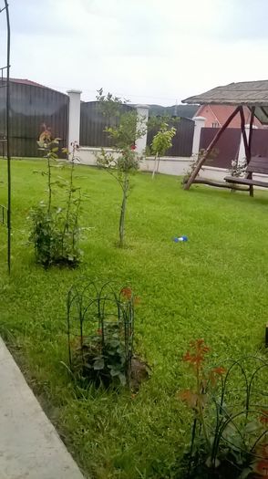 WP_20160619_19_34_40_Pro - gradina 2016