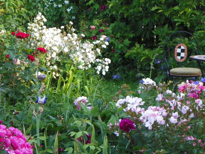 16 iun (65) - Gradina 2016