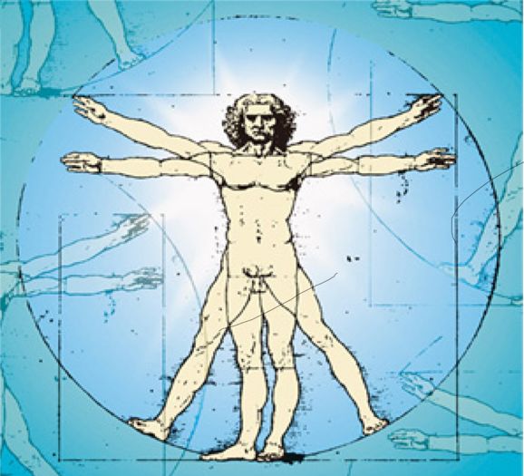 vitruvian