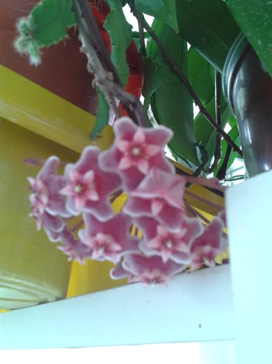 20160614_091737