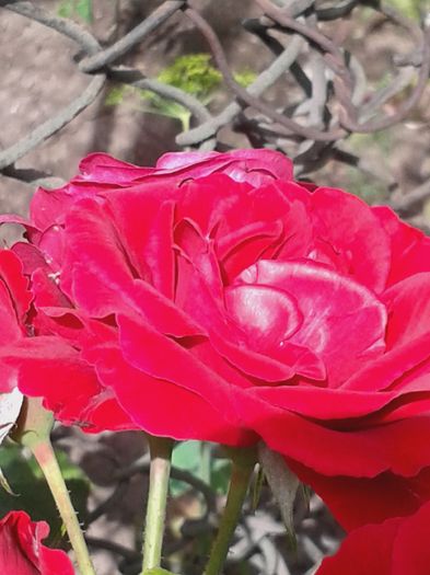20160618_105001